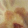 lindajaynes2