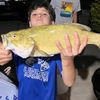 fishman_numero_dos
