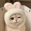 ly_j58