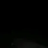 a.m.x7_