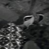 kk020966