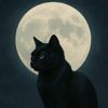 mycatsproject