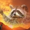 theraccoonmessiah