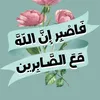 user25345168039880