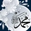 user5441876974830