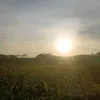 hiep.ngoc25