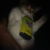 benji.lmw