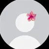 lcn_02