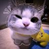 me..cellll