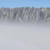 iskus0