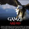 gamzegg1