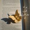 user9618811196278
