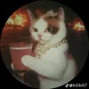 hi_hi_24