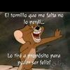 user4688128307800