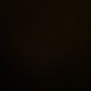 ﮼شِيمُو؟ .