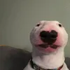 urfavvlok1