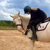 equestriandaska10