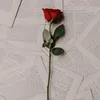 nmo___firas