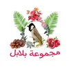 user1496257912888