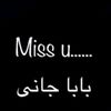mirzaibshair2