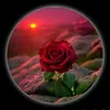 ...awat