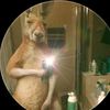 alejandroalfredo79