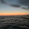 nour_1225