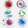 microbiome.me