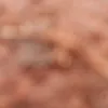 tluca12