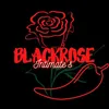 Blackrose🌶️