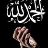 ghadagamal.010