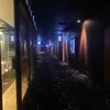 sammibro_