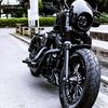 dailyrider90