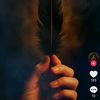 _dark_feather