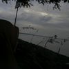 nadiya_wwy