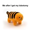big_bingus0