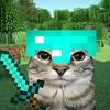 tanji_rich