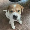 huyhayybuon