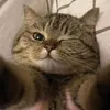 nhingie_mocmatbaygio