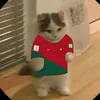 thehaiedit24