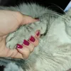 user1305402960961