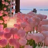 duongdinhduong1