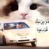 me_esh7