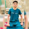 chaudharyhamza1005