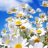 _user____090