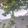 storymylve