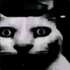 antoniomiloski123