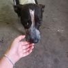 videos_porquesi08