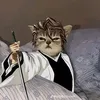 cosmindohotaruu