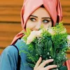ummhamed133